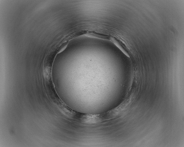 X0000111870093200907231521