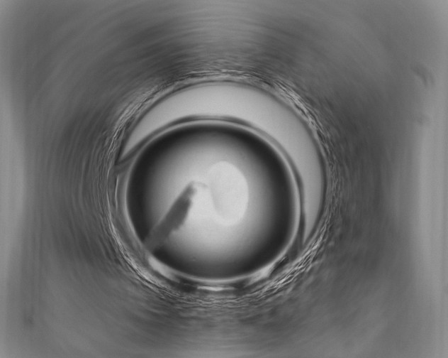 X0000111870097200907231521