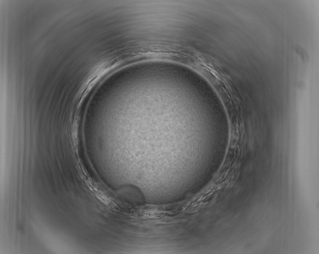 X0000111870098200907231521
