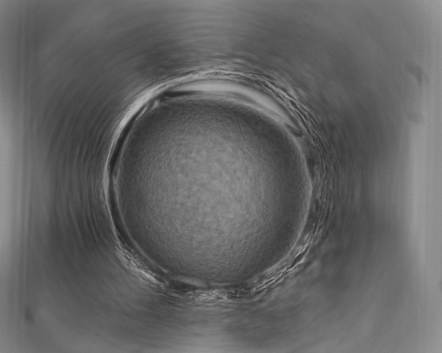X0000111870100200907231521