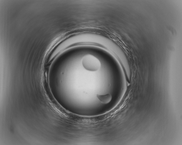 X0000111870101200907231521