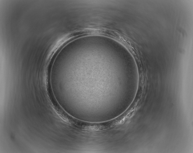X0000111870103200907231521
