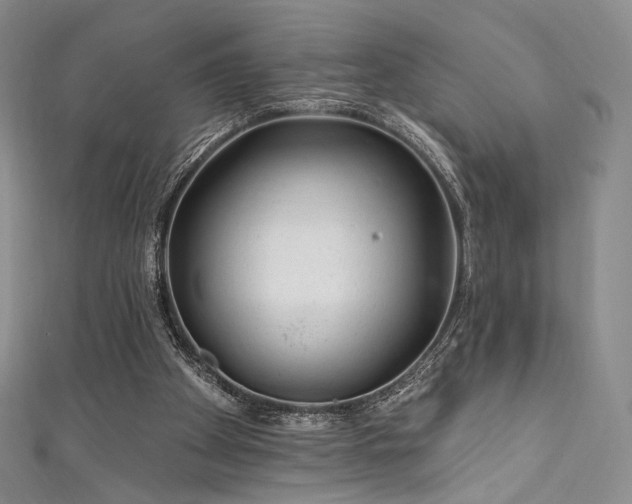 X0000111870105200907231521