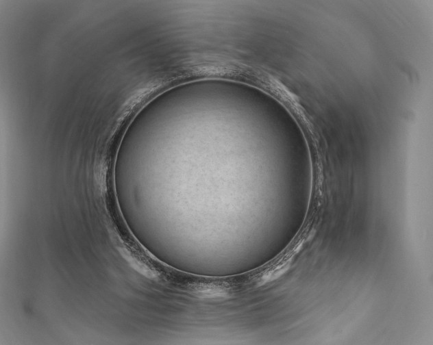 X0000111870106200907231521