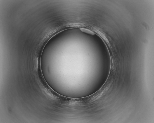 X0000111870109200907231521