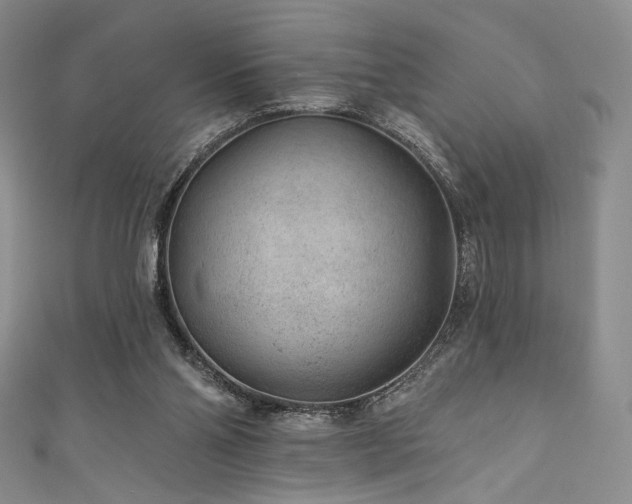 X0000111870110200907231521