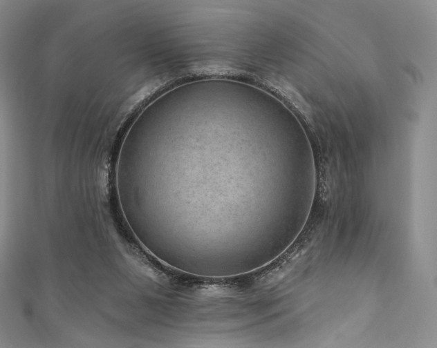 X0000111870111200907231521
