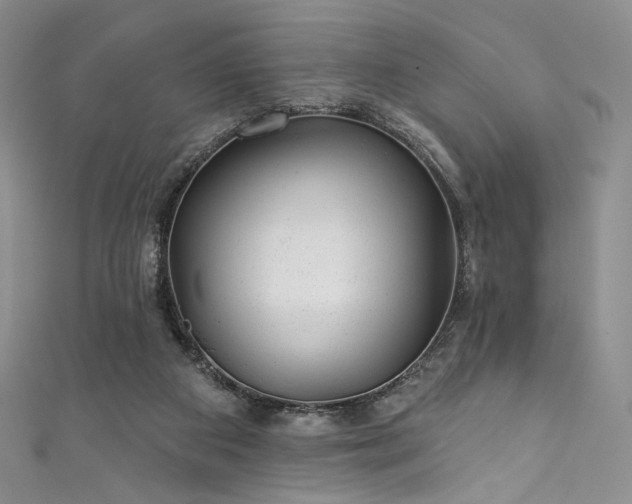 X0000111870113200907231521