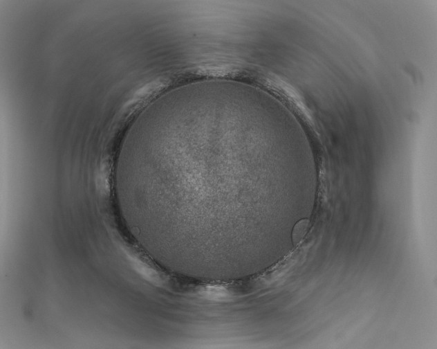 X0000111870114200907231520