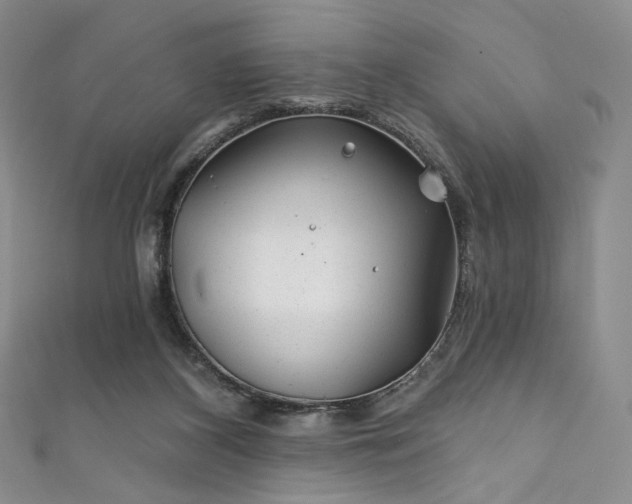 X0000111870116200907231520