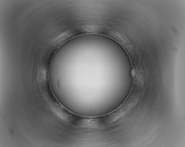 X0000111870117200907231520