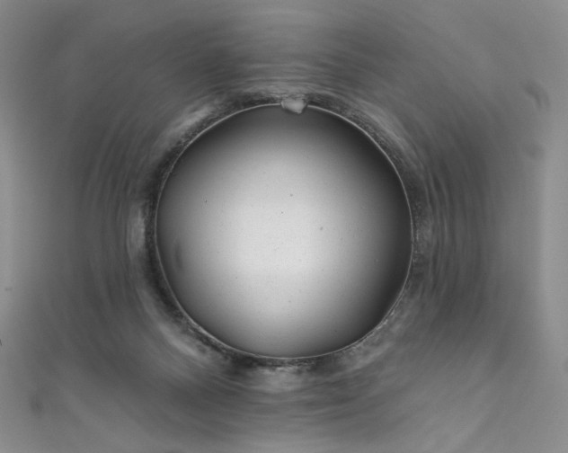 X0000111870120200907231520