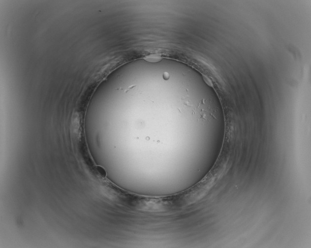 X0000111870121200907231520