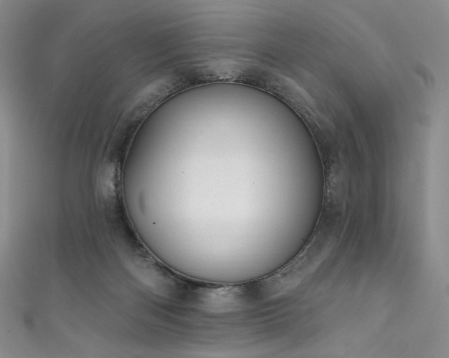 X0000111870122200907231520