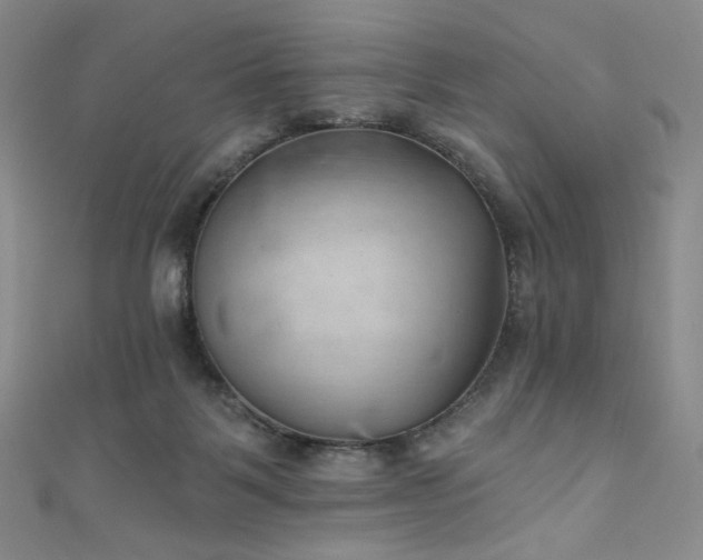 X0000111870123200907231520