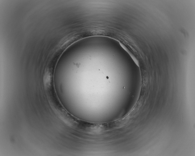 X0000111870124200907231520