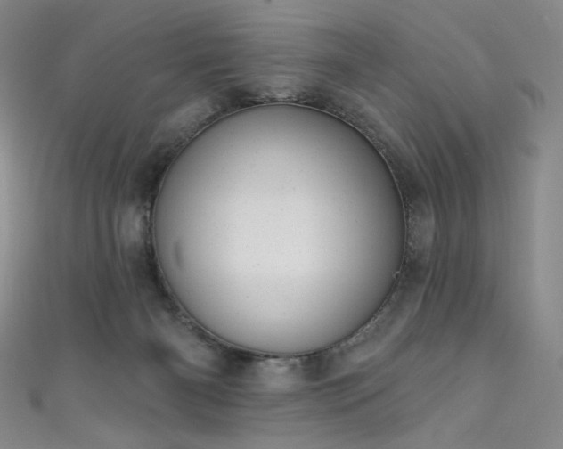 X0000111870126200907231520