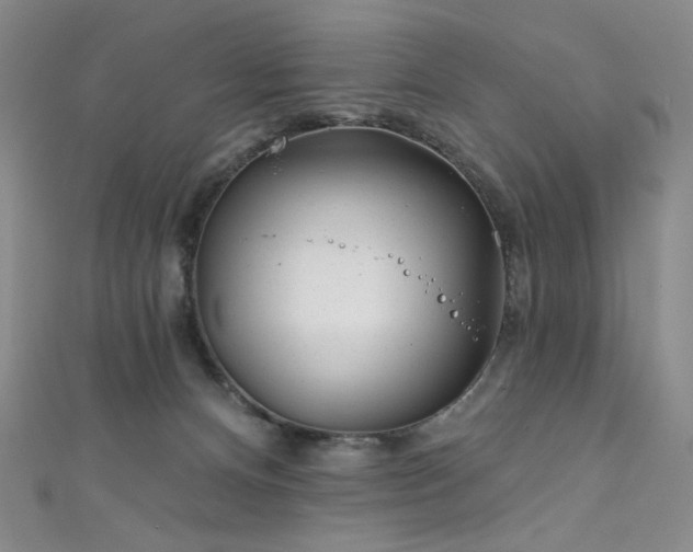 X0000111870128200907231520