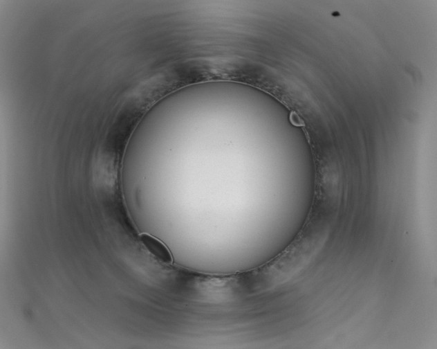 X0000111870129200907231520