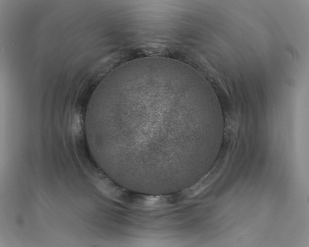 X0000111870130200907231520