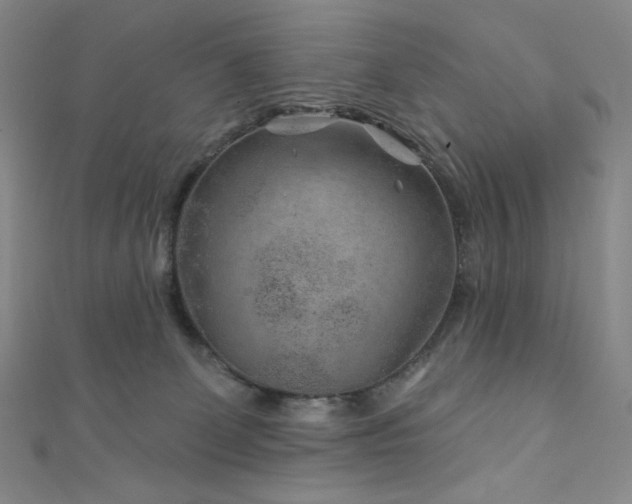 X0000111870131200907231520