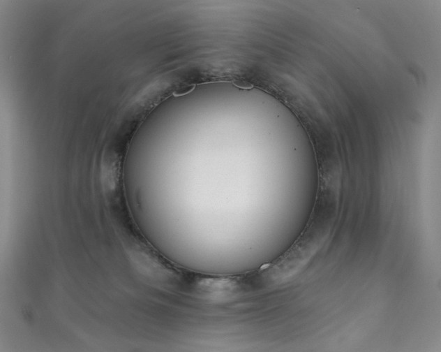X0000111870133200907231520