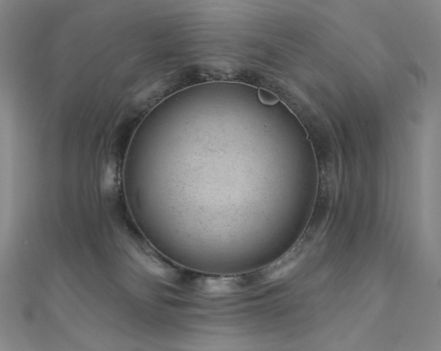 X0000111870134200907231520