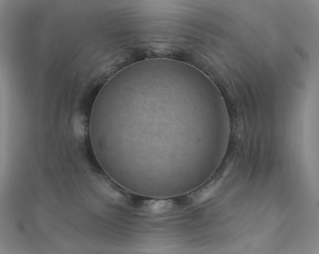 X0000111870135200907231520