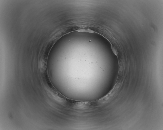 X0000111870136200907231520