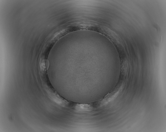 X0000111870137200907231520