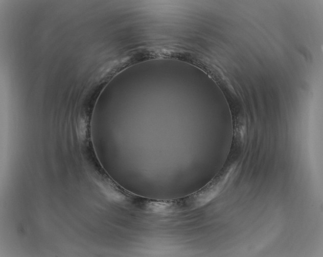 X0000111870139200907231520
