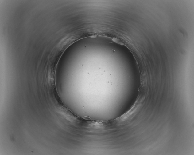 X0000111870140200907231520