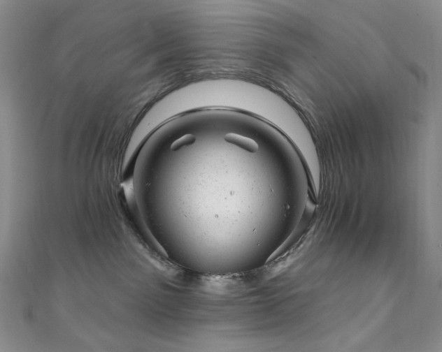 X0000111870141200907231520