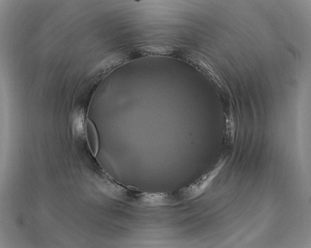 X0000111870143200907231520