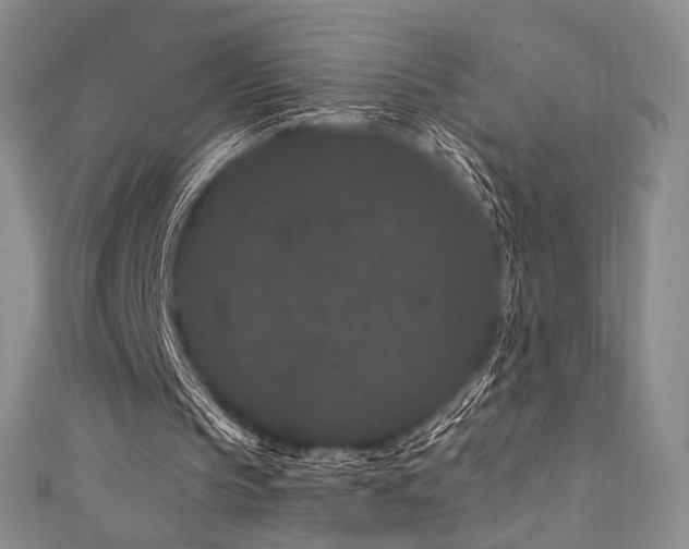 X0000111870145200907231519