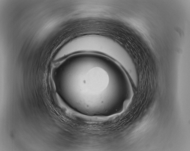 X0000111870146200907231519