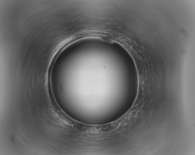 X0000111870148200907231520