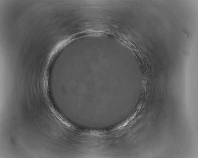 X0000111870149200907231520