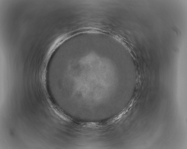 X0000111870151200907231520