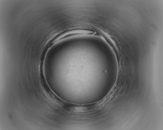 X0000111870154200907231520