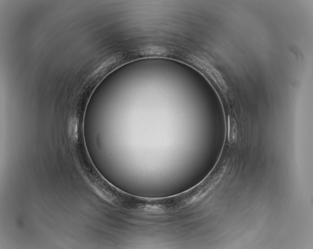 X0000111870157200907231520