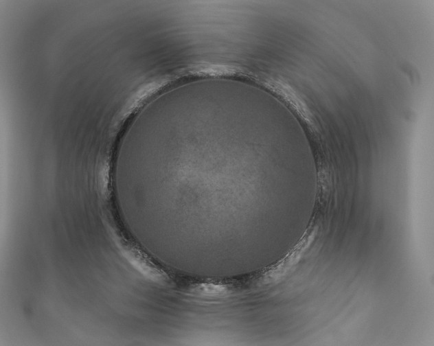 X0000111870159200907231520