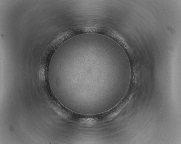 X0000111870161200907231520