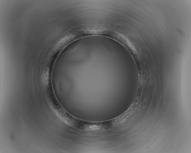X0000111870163200907231520