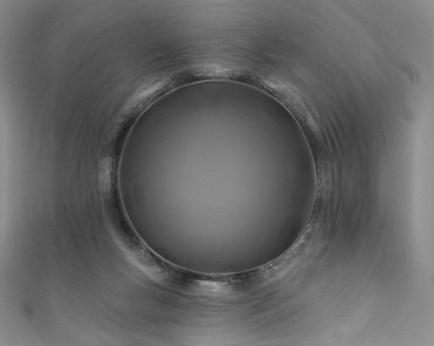 X0000111870167200907231520