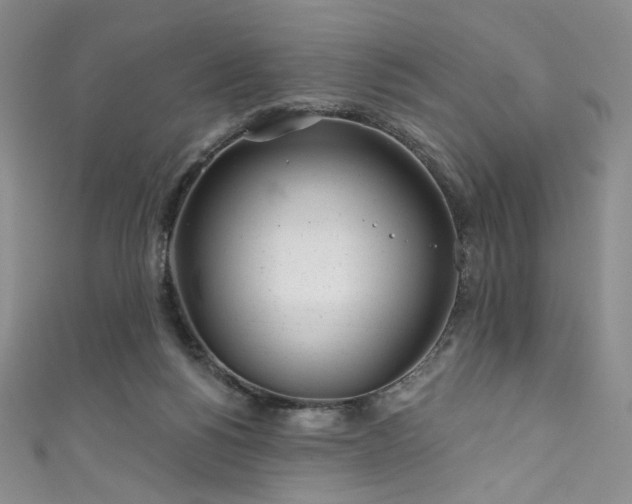 X0000111870168200907231520