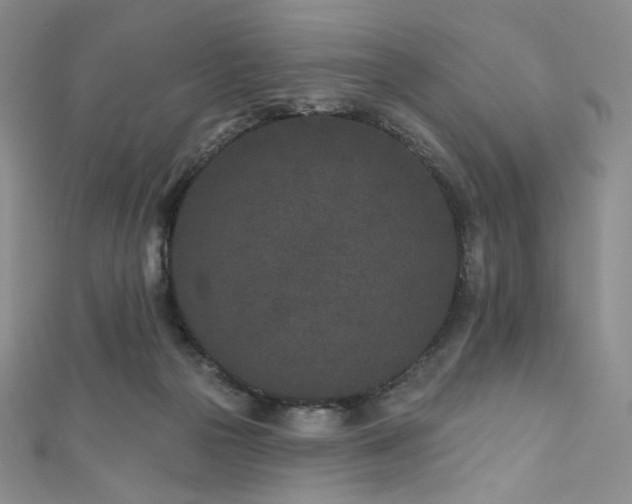 X0000111870169200907231520
