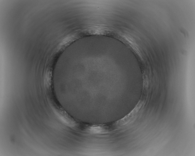 X0000111870171200907231520