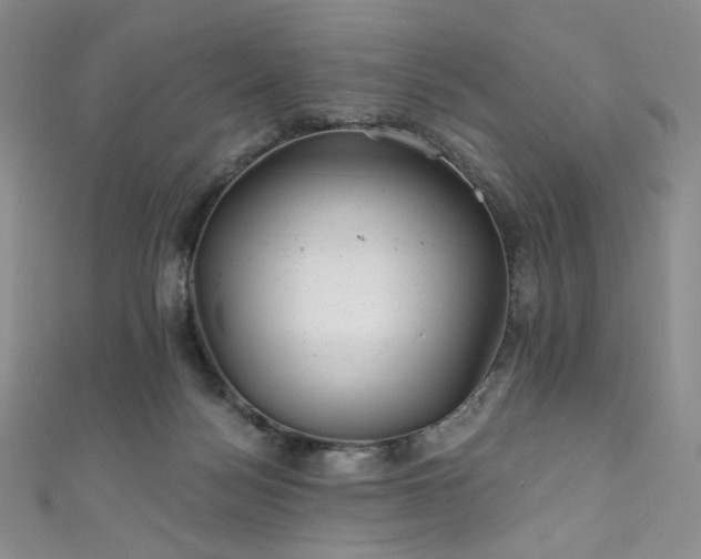 X0000111870172200907231520