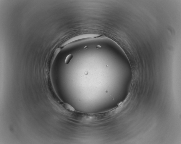 X0000111870174200907231520
